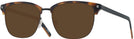 Square Tortoise/black Zegna EZ0143-D Progressive Reading Sunglasses View #1