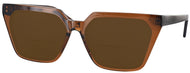 Bashful Brown #1