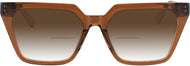 Bashful Brown #2
