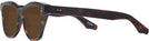 Square Tortoise Goo Goo Eyes 923 Bifocal Reading Sunglasses View #3