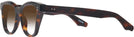Square Tortoise Goo Goo Eyes 923 w/ Gradient Bifocal Reading Sunglasses View #3