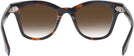 Square Tortoise Goo Goo Eyes 923 w/ Gradient Bifocal Reading Sunglasses View #4