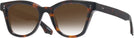 Square Tortoise Goo Goo Eyes 923 w/ Gradient Progressive Reading Sunglasses View #1