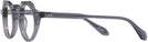 Round Transparent Grey Goo Goo Eyes 924 Progressive No-Lines View #3