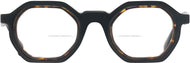 Black With Tortoise #2