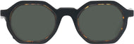 Black With Tortoise #2