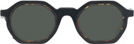 Black With Tortoise #2