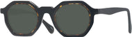 Black With Tortoise #1