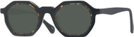 Black With Tortoise #1