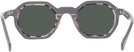 Unique Grey Goo Goo Eyes 931 Progressive Reading Sunglasses View #4