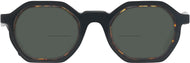 Black With Tortoise #2