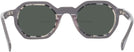 Unique Grey Goo Goo Eyes 931 Bifocal Reading Sunglasses View #4