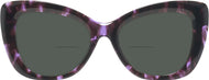 Purple Tortoise #2