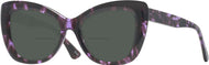 Purple Tortoise #1