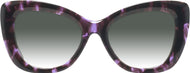 Purple Tortoise #2