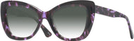 Purple Tortoise #1