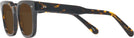 Square Tortoise Goo Goo Eyes 936 Progressive Reading Sunglasses View #3