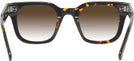 Square Tortoise Goo Goo Eyes 936 w/ Gradient Bifocal Reading Sunglasses View #4