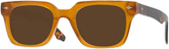 Brown/tortoise #1