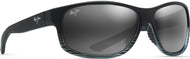 Grey Black Stripe/Grey Lens #1