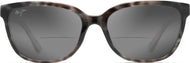 Grey Tortoise/Grey Lens #2