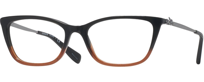 Rectangle BLACK AMBER GLITER GRADIENT Coach 6107 Single Vision Full Frame View #1