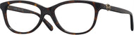 Dark Tortoise #1