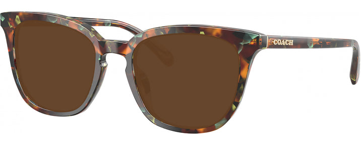 Square Jade Pearl Tortoise Coach 6222U Progressive Reading Sunglasses View #1