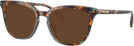 Square Jade Pearl Tortoise Coach 6222U Progressive Reading Sunglasses View #1