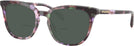 Square Amethyst Pearl Tortoise Coach 6222U Bifocal Reading Sunglasses View #1