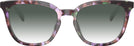 Square Amethyst Pearl Tortoise Coach 6222U w/ Gradient Progressive Reading Sunglasses View #2