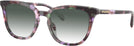 Square Amethyst Pearl Tortoise Coach 6222U w/ Gradient Progressive Reading Sunglasses View #1