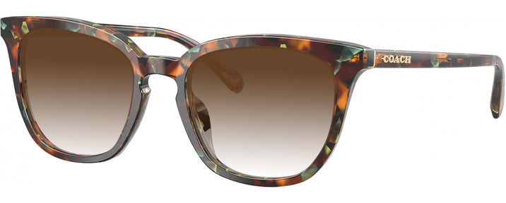 Square Jade Pearl Tortoise Coach 6222U w/ Gradient Progressive Reading Sunglasses View #1