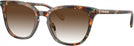 Square Jade Pearl Tortoise Coach 6222U w/ Gradient Progressive Reading Sunglasses View #1