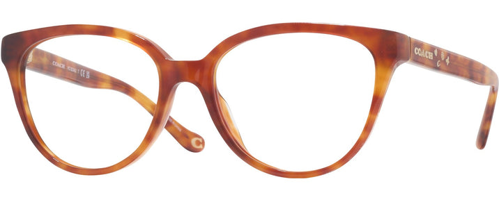  Caramel Tortoise Coach 6234U Computer Style Progressive View #1