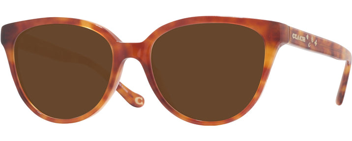  Caramel Tortoise Coach 6234U Progressive Reading Sunglasses View #1