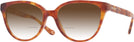 Square Caramel Tortoise Coach 6234U w/ Gradient Bifocal Reading Sunglasses View #1