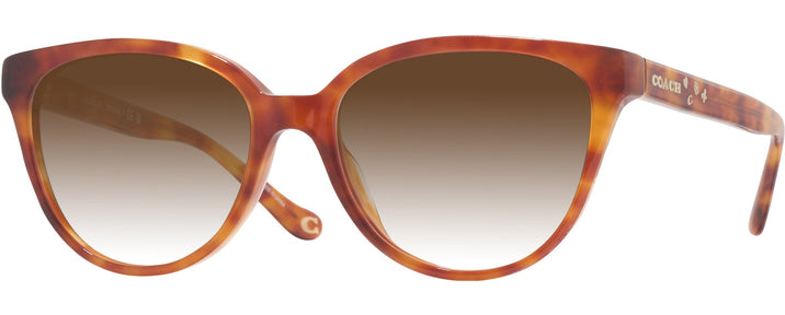 Square Caramel Tortoise Coach 6234U w/ Gradient Progressive Reading Sunglasses View #1