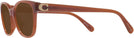 Butterfly Milky Hazelnut Coach 6246U Bifocal Reading Sunglasses View #3