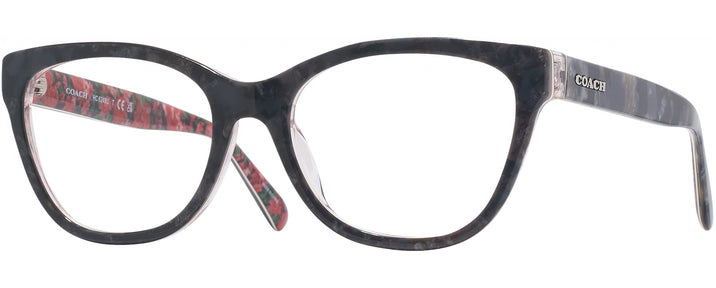  Black Tortoise/pink Floral Coach 6249U Single Vision Full Frame View #1