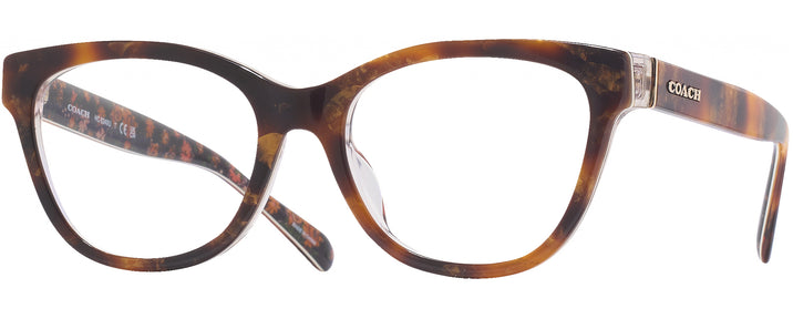 Butterfly Amber Tortoise/orange Floral Coach 6249U Progressive No-Lines View #1