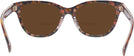 Butterfly Amber Tortoise/orange Floral Coach 6249U Bifocal Reading Sunglasses View #4