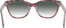 Butterfly Black Tortoise/pink Floral Coach 6249U w/ Gradient Bifocal Reading Sunglasses View #4