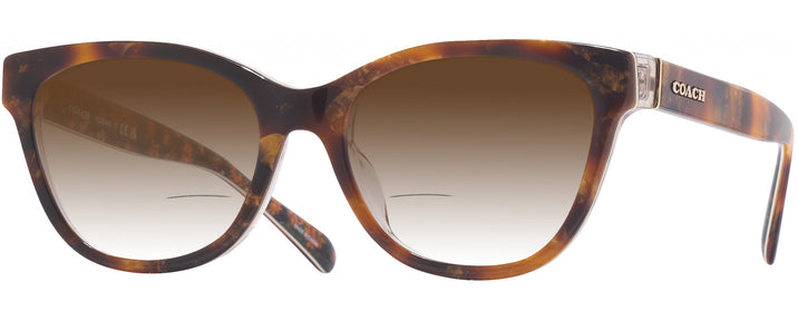 Butterfly Amber Tortoise/orange Floral Coach 6249U w/ Gradient Bifocal Reading Sunglasses View #1