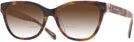Butterfly Amber Tortoise/orange Floral Coach 6249U w/ Gradient Bifocal Reading Sunglasses View #1
