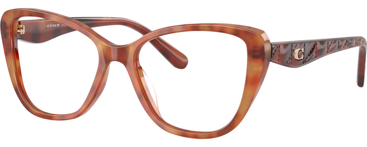 Cat Eye Caramel Tortoise Coach 6255U Progressive No-Lines View #1