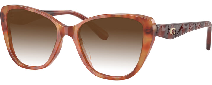 Cat Eye Caramel Tortoise Coach 6255U w/ Gradient Progressive Reading Sunglasses View #1