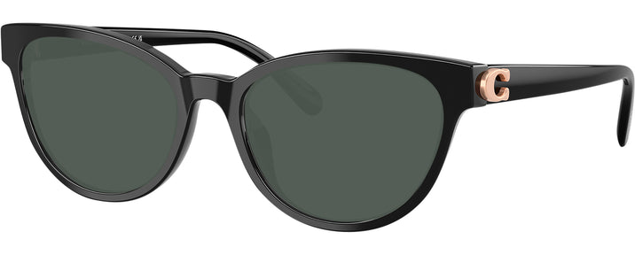 Oval Black Coach 6258U Progressive Reading Sunglasses View #1