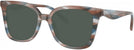 Square Striated Maple/blueberry Coach 6274U Progressive Reading Sunglasses View #1