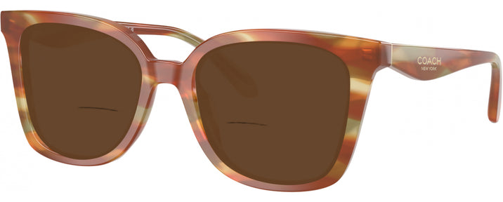 Square Striated Bark/moss Coach 6274U Bifocal Reading Sunglasses View #1